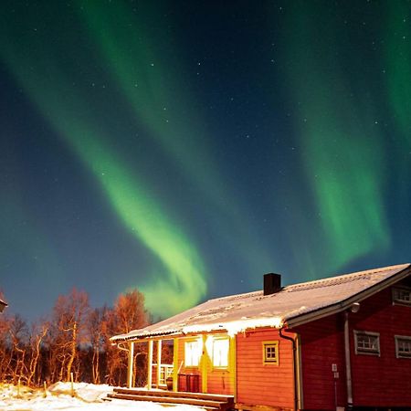Trivelig Hytte I Senja. Eksteriør bilde