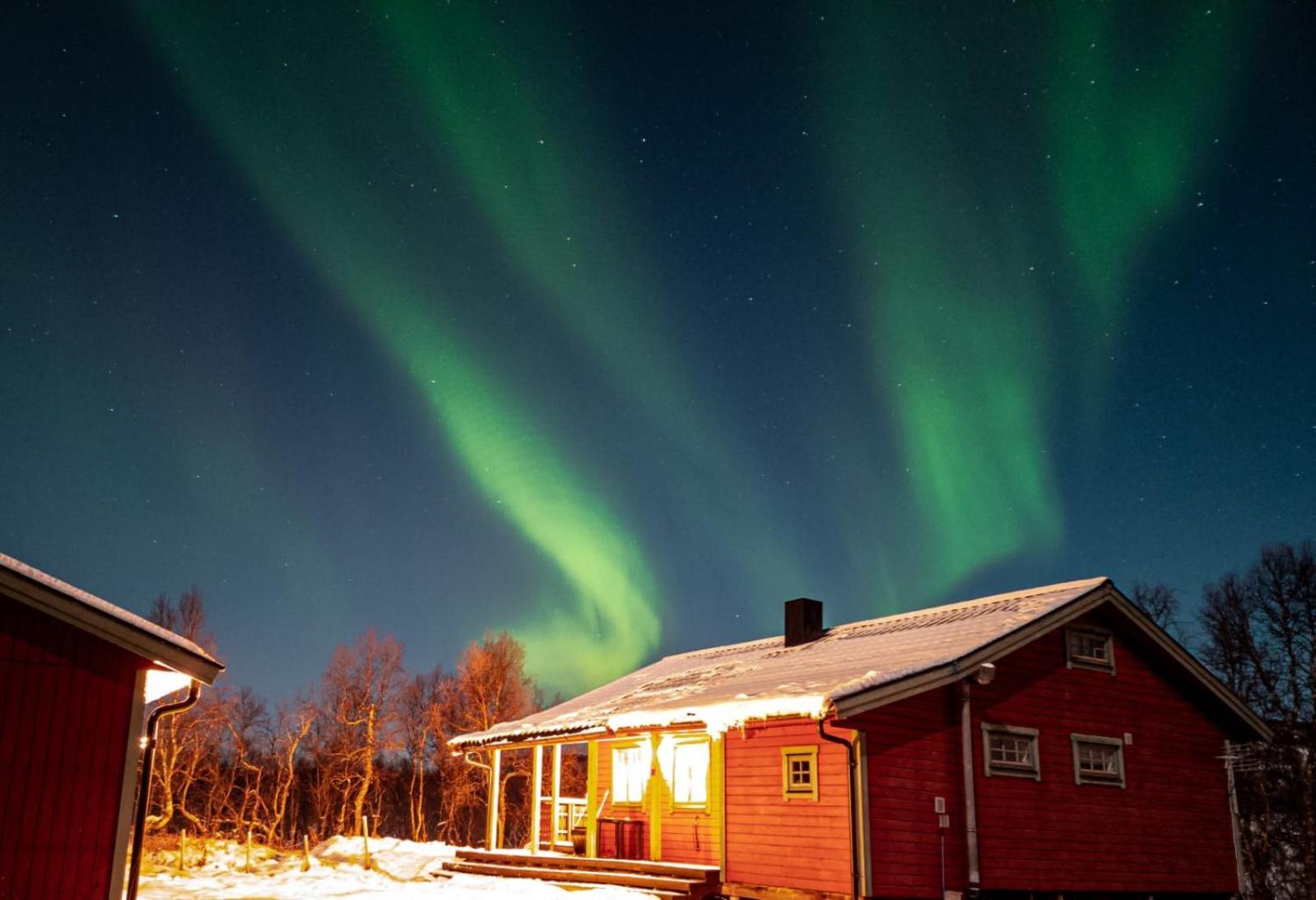 Trivelig Hytte I Senja. Eksteriør bilde