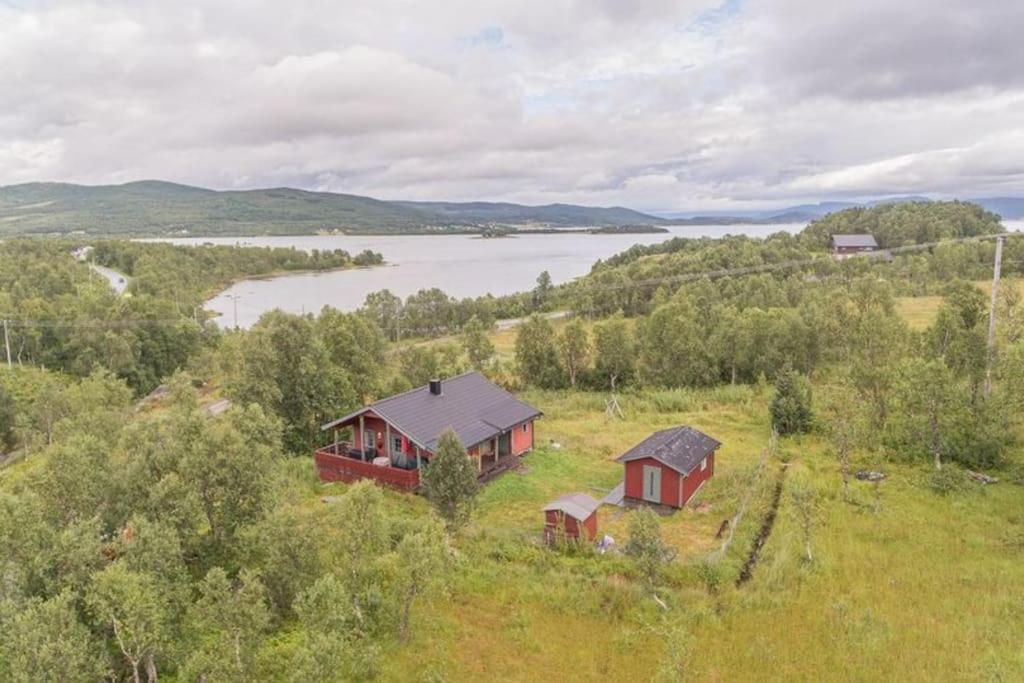 Trivelig Hytte I Senja. Eksteriør bilde