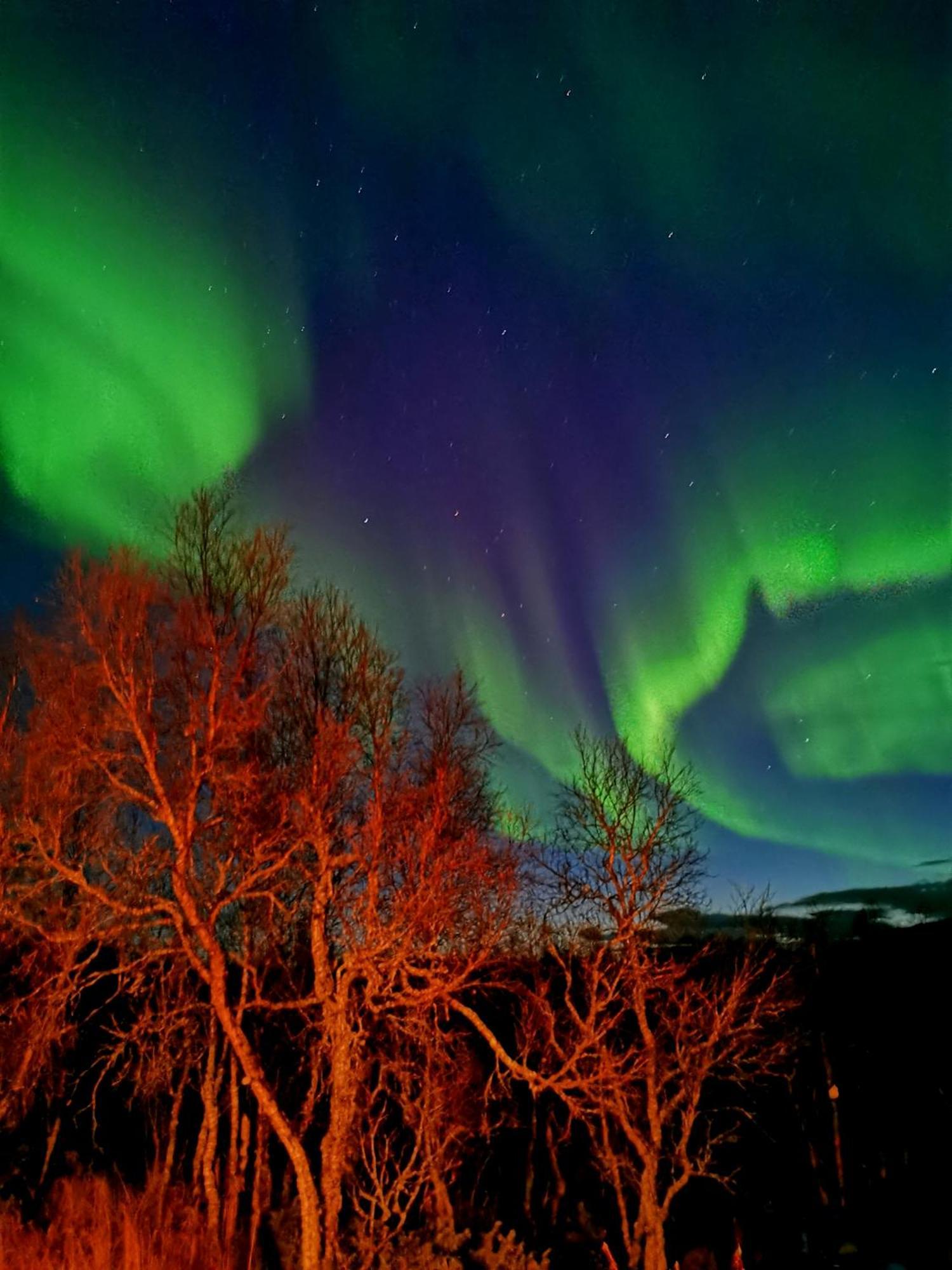 Trivelig Hytte I Senja. Eksteriør bilde