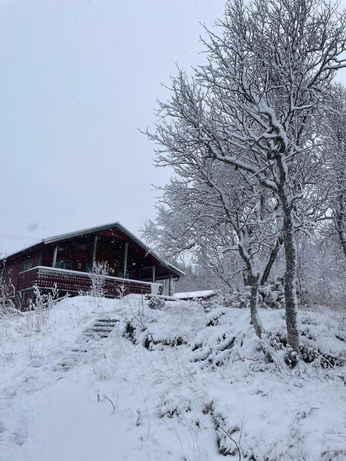 Trivelig Hytte I Senja. Eksteriør bilde